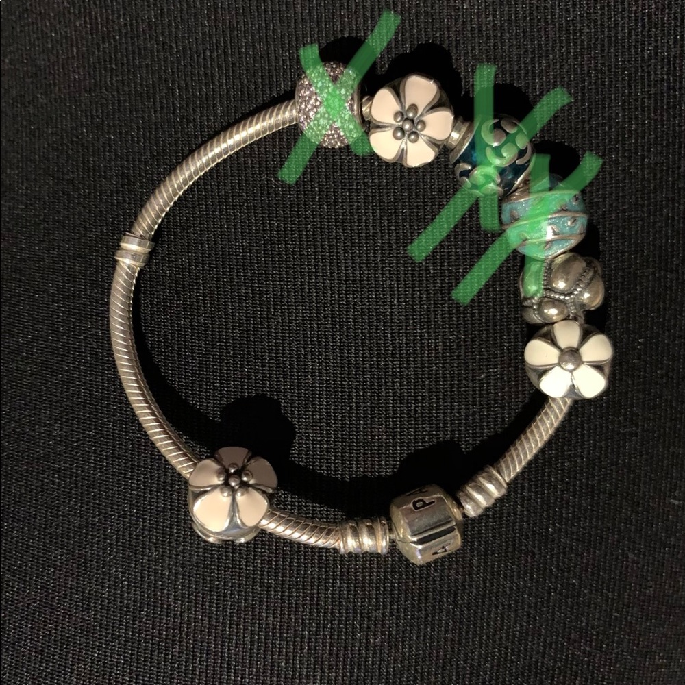 Pandora bracelet and charms!